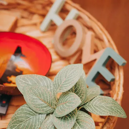S-studio, Your Cozy Spot In Center *